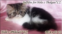 /album/toffifee-for-hela-z-thalgau-cu/bez-nazvu-jpg/
